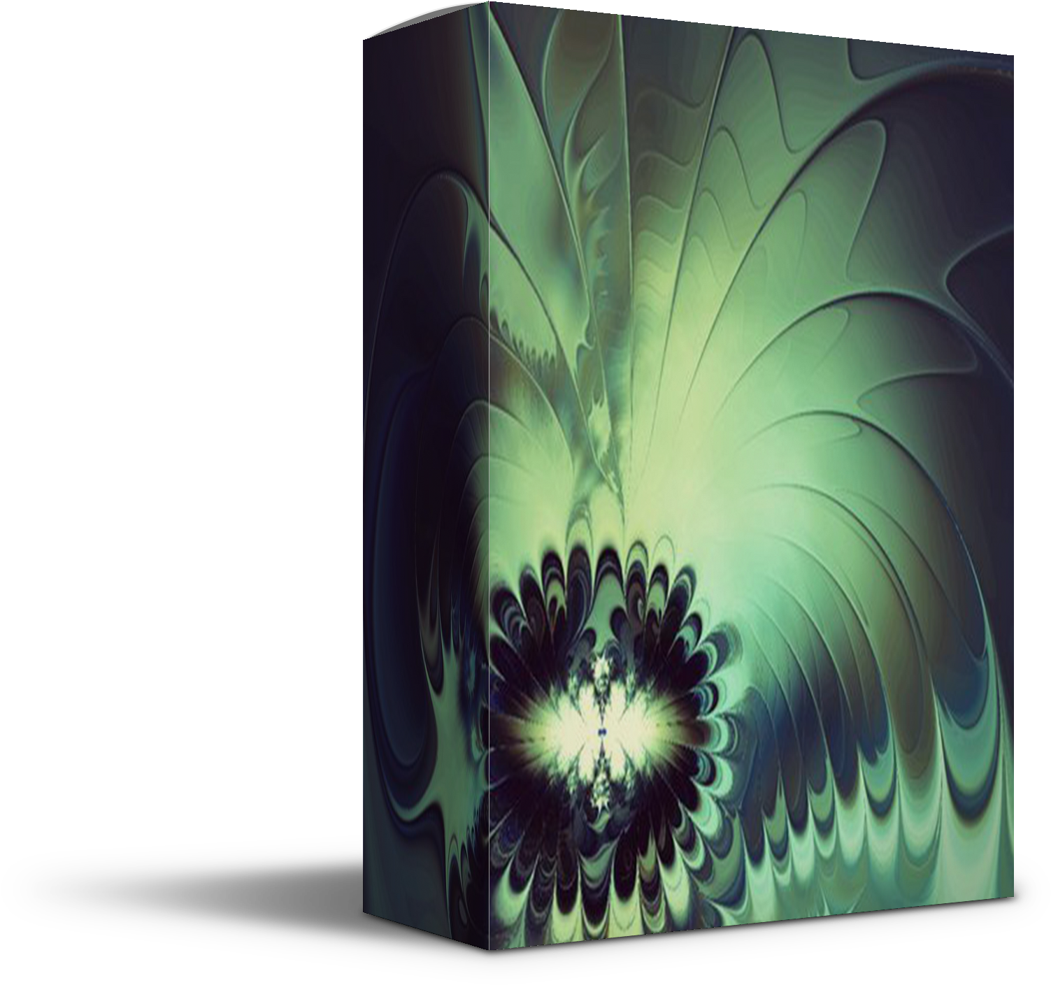 Jade Drum Kit - African Daisy Clipart (1503x1409), Png Download