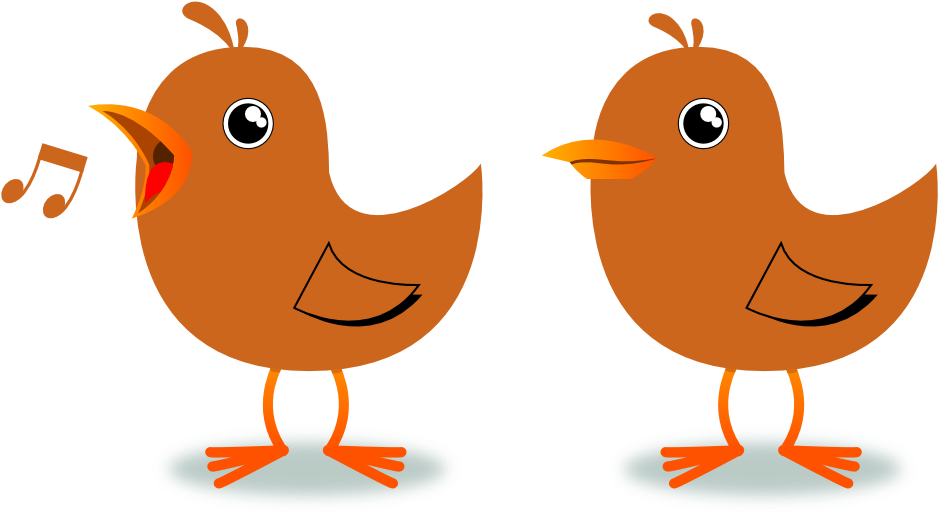 Clip Arts Related To - Bird Cartoon Png Gif Transparent Png (999x541), Png Download