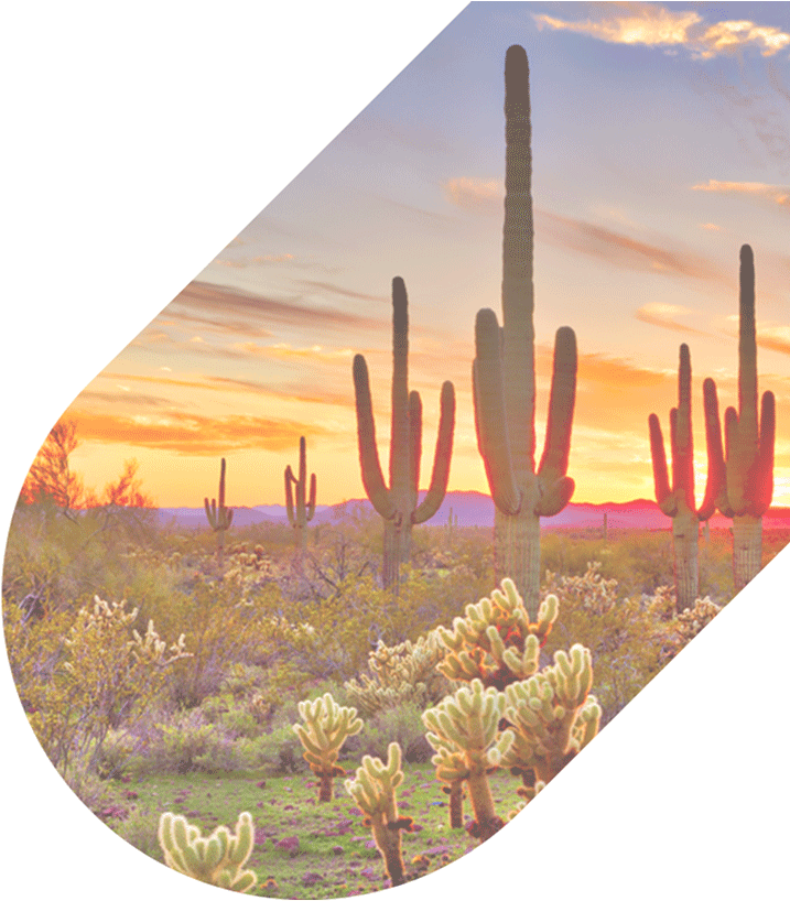 480 626 4711 Our Agents Are Available 24/7 - Sunset Beautiful Phoenix Arizona Clipart (717x818), Png Download