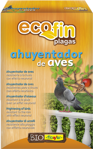 African Grey Clipart (600x600), Png Download