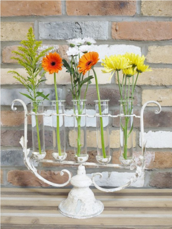 Garden Roses Clipart (1152x768), Png Download