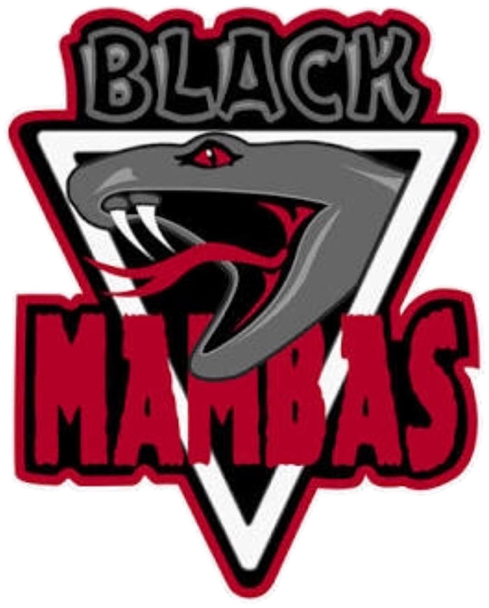 Black Mamba Logo Red , Png Download - Black Mambas Team Logo Clipart (700x869), Png Download