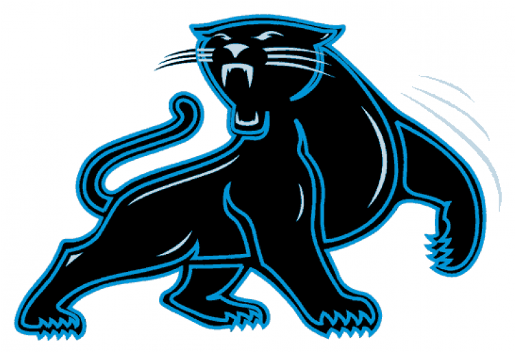 Carolina Panthers Iron On Stickers And Peel-off Decals - Leduc Junior High School Clipart (750x930), Png Download