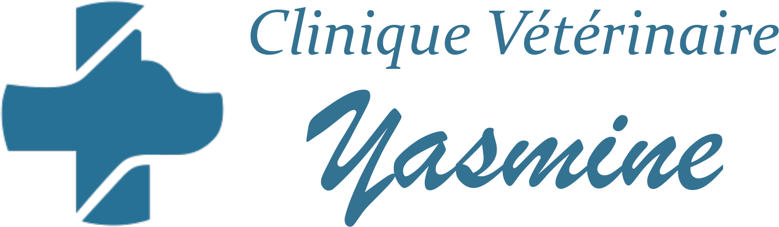 Home - Fête De La Musique Clipart (1716x780), Png Download