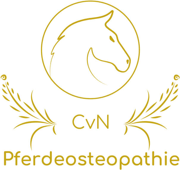 Huf Logo Transparent - Coloring Pages For Kids Clipart (640x640), Png Download