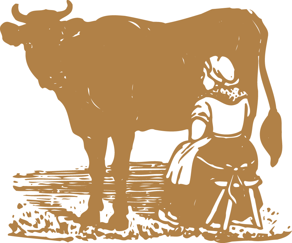 Dairy Cattle Milk Ox - Cow Milk Vector Clipart (958x797), Png Download