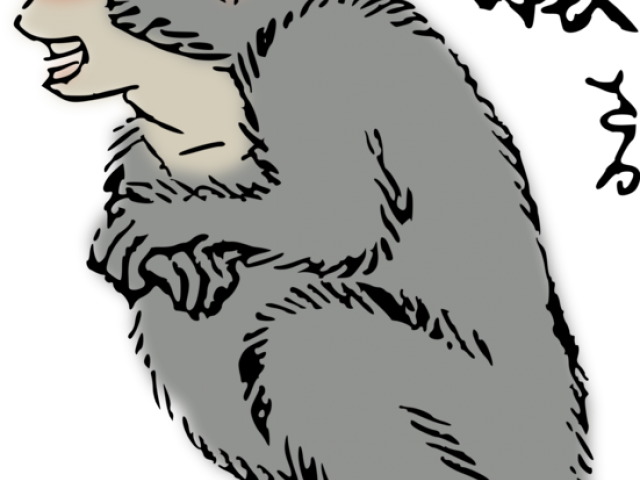 Year Of The Monkey Clipart Japanese Macaque - Png Download (640x480), Png Download