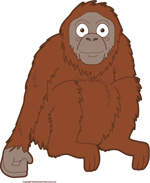 Free Monkey Clipart Graphic Black And White Stock - Orangutan Clipart Png Transparent Png (510x621), Png Download