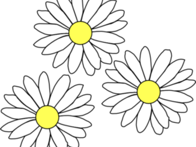 Daisy Clipart Wildflower - Air Bp Logo Png Transparent Png (640x480), Png Download