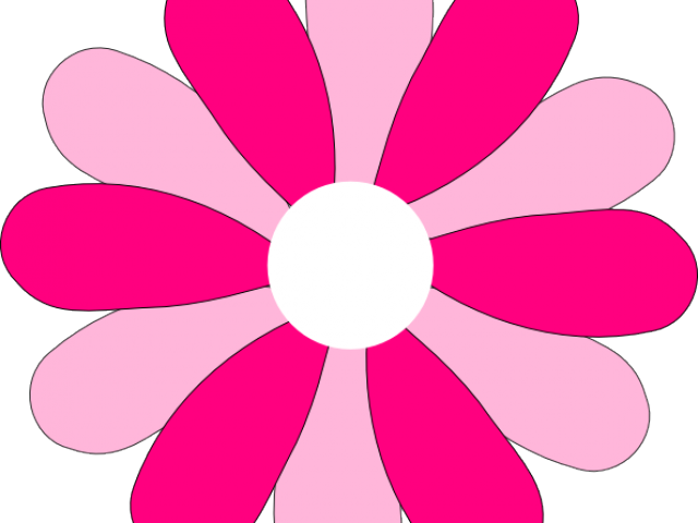 Gerber Daisy Clipart - Png Download (640x480), Png Download