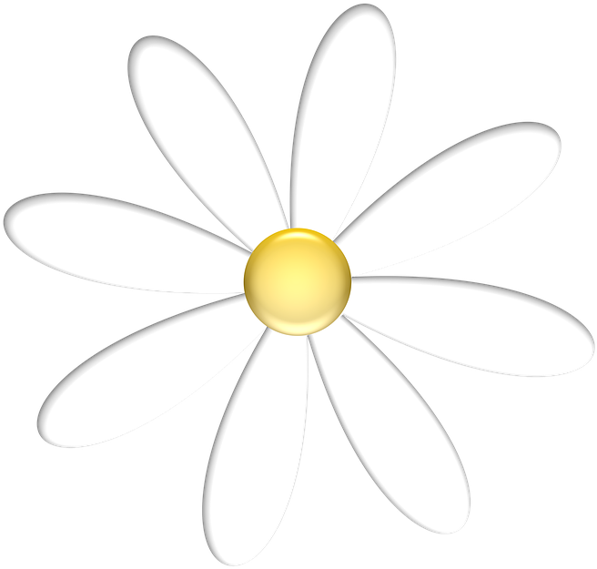 Daisy Clipart Nature Transparent - Paper Cutting Flower Easy - Png Download (720x720), Png Download