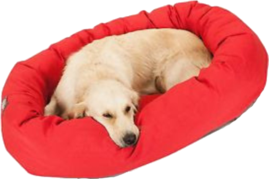 Uovo Dog Bed - Companion Dog Clipart (1024x683), Png Download