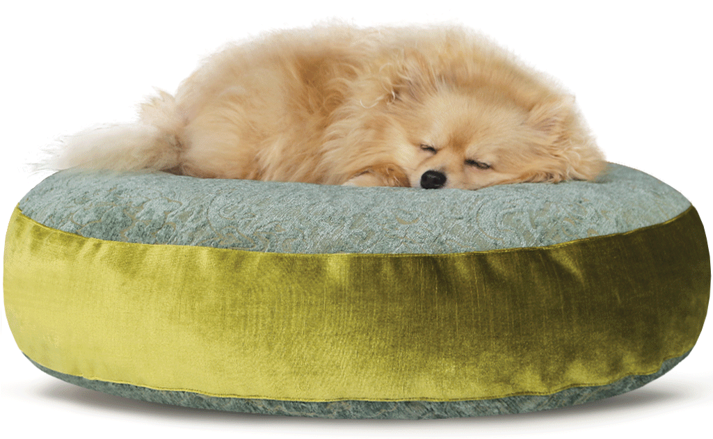 Luxury Velvet Dog Bed Large Teal Lime - Pomeranian Clipart (1024x704), Png Download