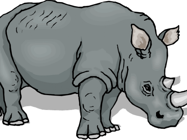 Jpg Library Download Rhino Clipart - Animals Drawing To Coloring - Png Download (640x480), Png Download