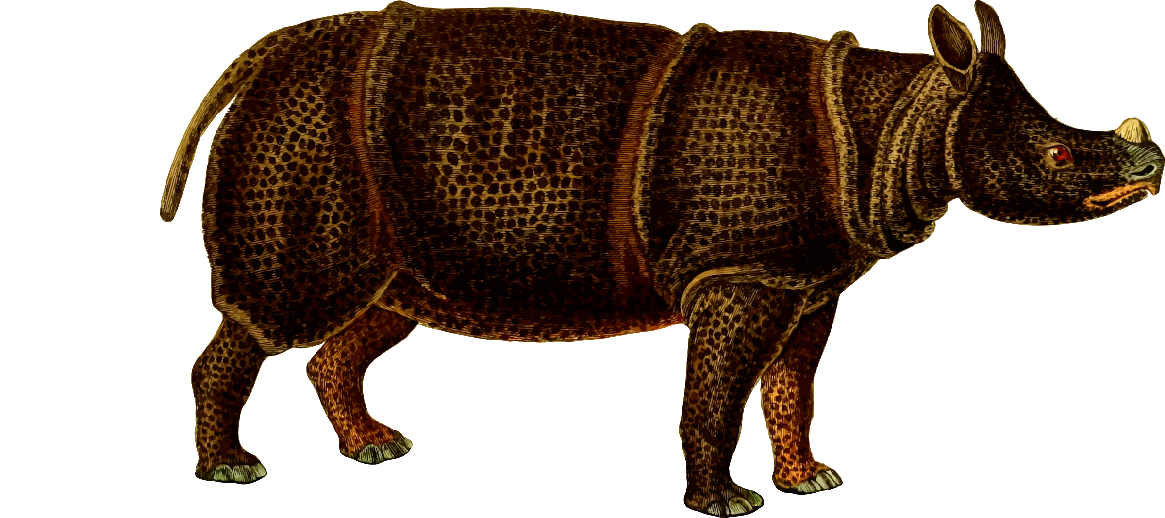 This Free Icons Png Design Of Rhinoceros 4 - Buffon Animal Clipart (2400x1068), Png Download