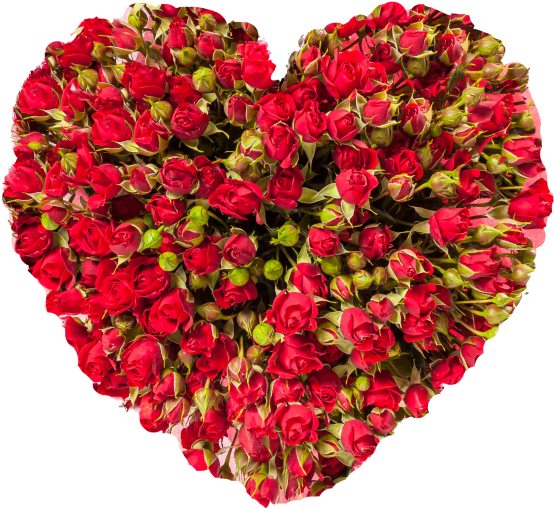 Heart With Roses - Stock Photography Clipart (866x650), Png Download