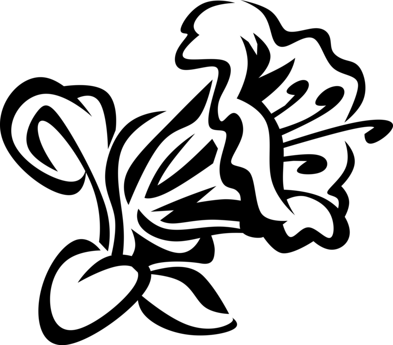 Vector Illustration Of Rhododendron Azaleas Botanical - Vector Graphics Clipart (797x700), Png Download