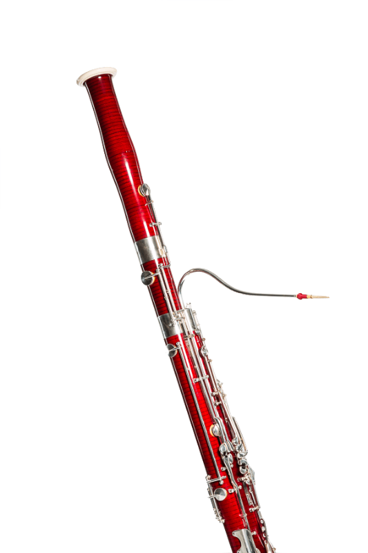 Extraordinary Passion Means - Bassoon Clipart (533x800), Png Download