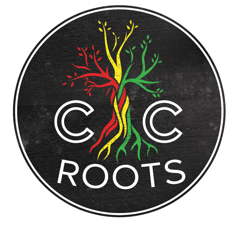 Clipart Black And White Download Record Transparent - Mayhem Clothing Bali - Png Download (800x800), Png Download