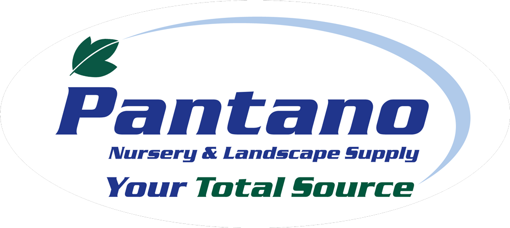 Pantano Nursery Clipart (1000x447), Png Download