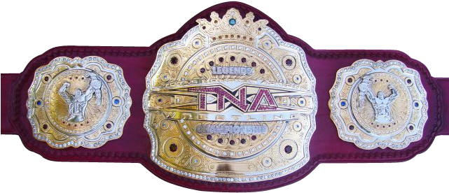 Tna Championship Belt Professional Wrestling, Wrestling - Tna Belts Clipart (640x480), Png Download