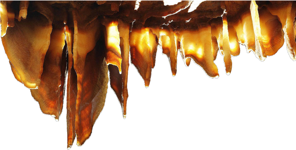 2014 11 28 - Tree Clipart (1000x579), Png Download