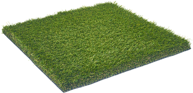 Mountain Creek Olive - Lawn Clipart (800x511), Png Download