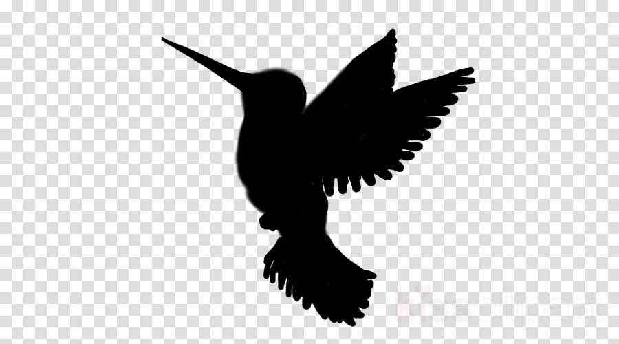 Download Hummingbird Silhouette Png Clipart Hummingbird - Siluetas De Personas Png Transparent Png (900x500), Png Download