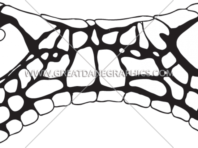 Snake Eyes Cliparts - Cartoon - Png Download (640x480), Png Download
