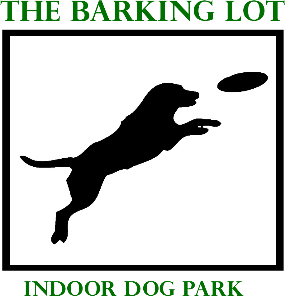 Dog Catches Something Clipart (1087x1053), Png Download