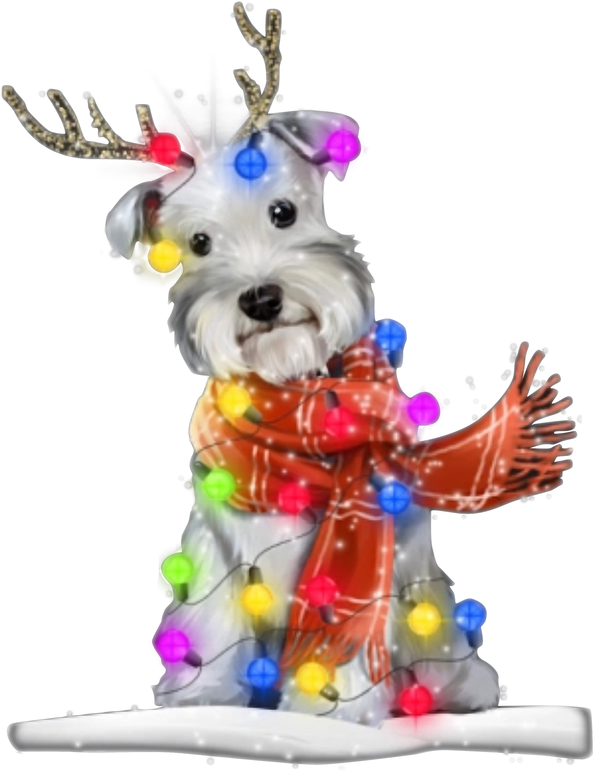 Standard Schnauzer Clipart (2400x3200), Png Download