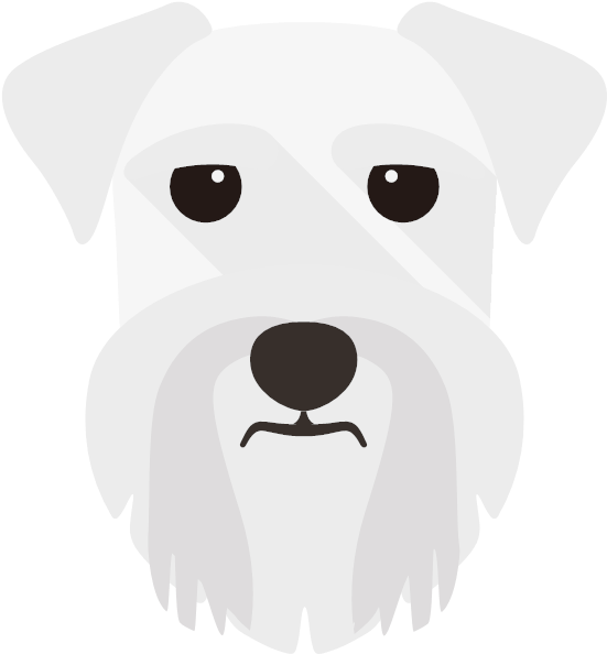 Dog Miniature Schnauzer Icon Clipart (600x600), Png Download