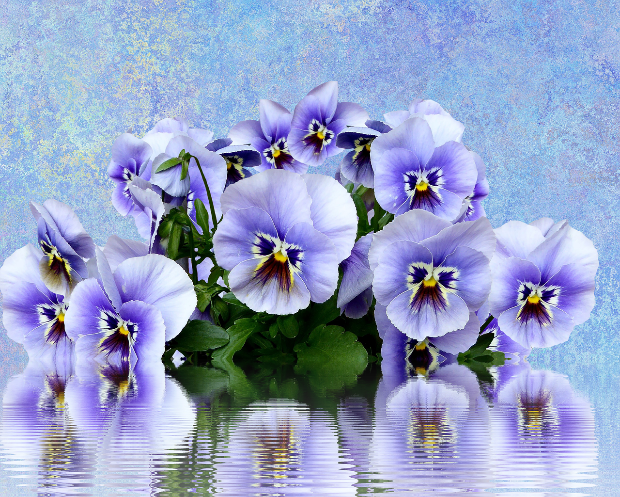 Pansy Spring Nature - Psp Tubes Lente Clipart (1280x1025), Png Download