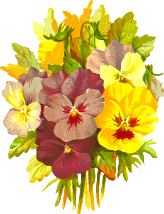 Pansy Flower California Golden Violet Floral Design - Hawaiian Hibiscus Clipart (573x750), Png Download