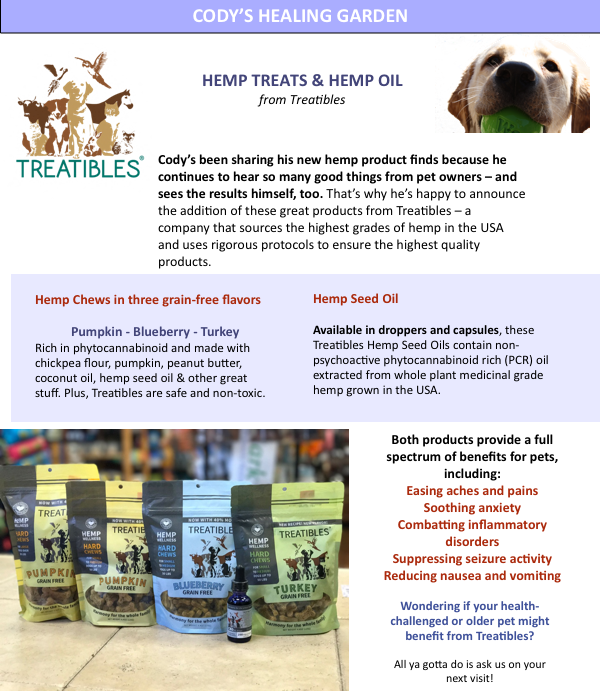 6-cody - - Companion Dog Clipart (600x697), Png Download