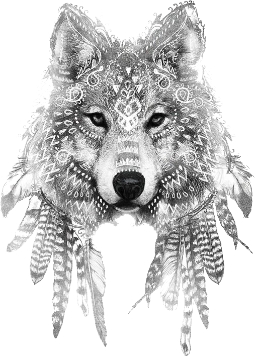 #wolf #art #drawing #feathers #boho #freetoedit - Wolf Tattoo With Feathers Clipart (564x713), Png Download