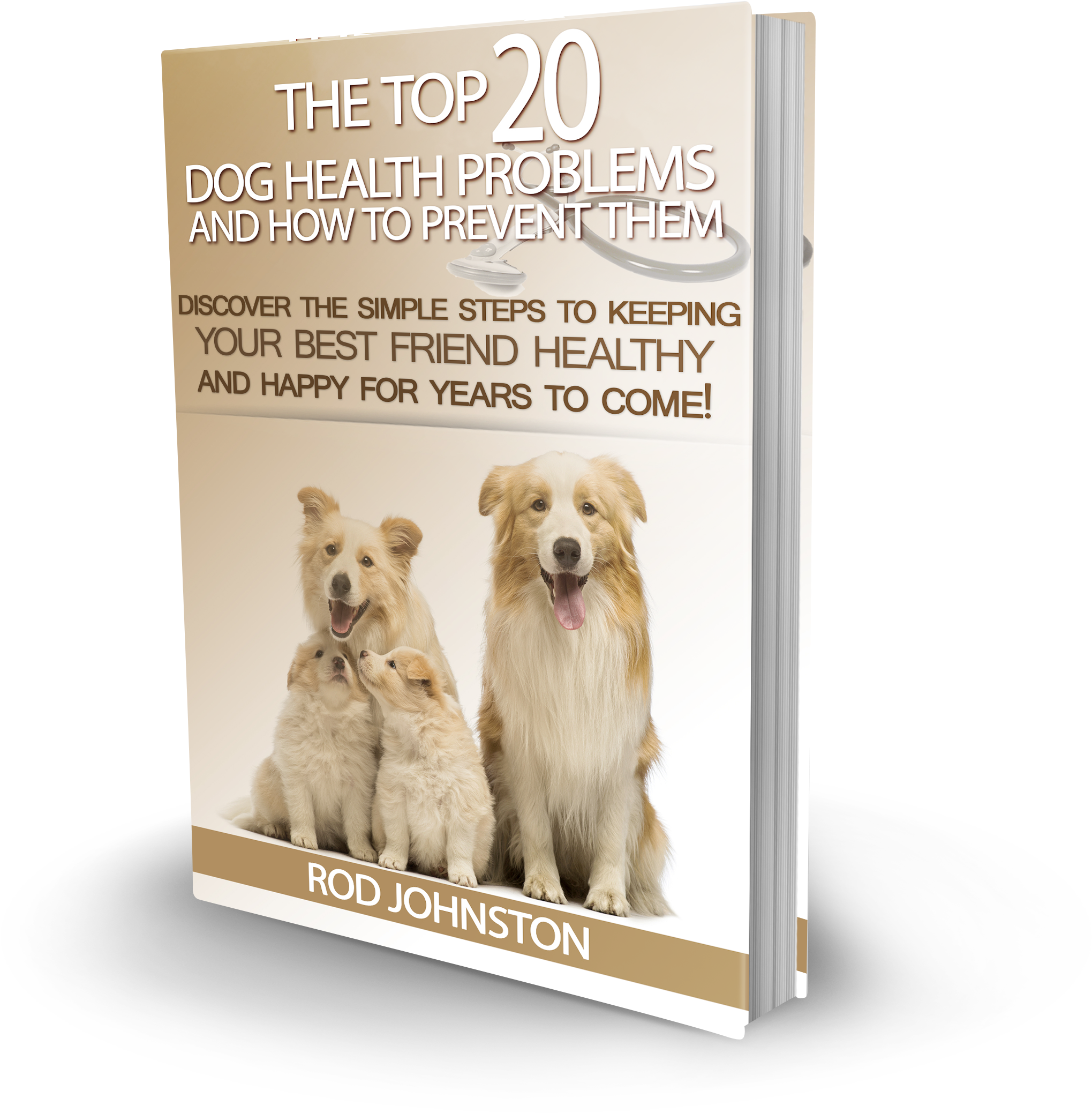 The Top 20 Dog Health Problems And How To Prevent Them - Kromfohrländer Clipart (2171x2520), Png Download
