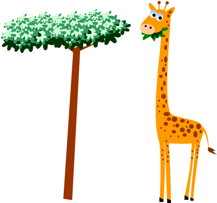 Giraffe Neck Cartoon Wildlife Safari Animal - Giraffe Clipart (760x720), Png Download