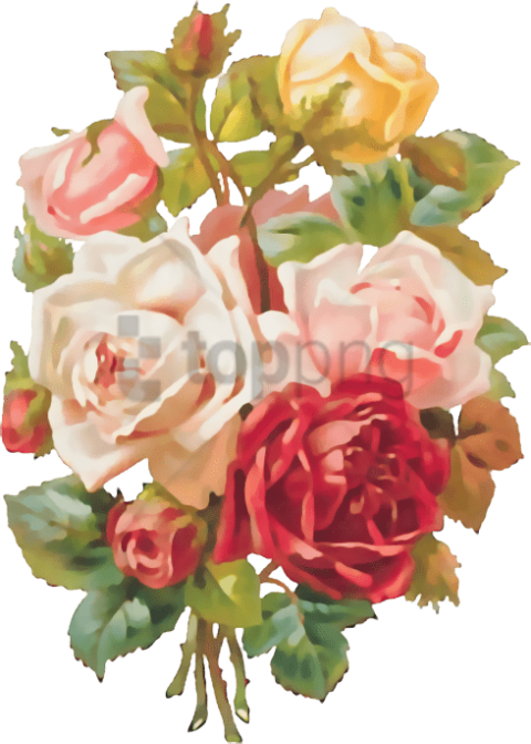 Free Png Mother's Day Roses Throw Blanket Png Image - Flowers Images Hd Png Clipart (480x672), Png Download