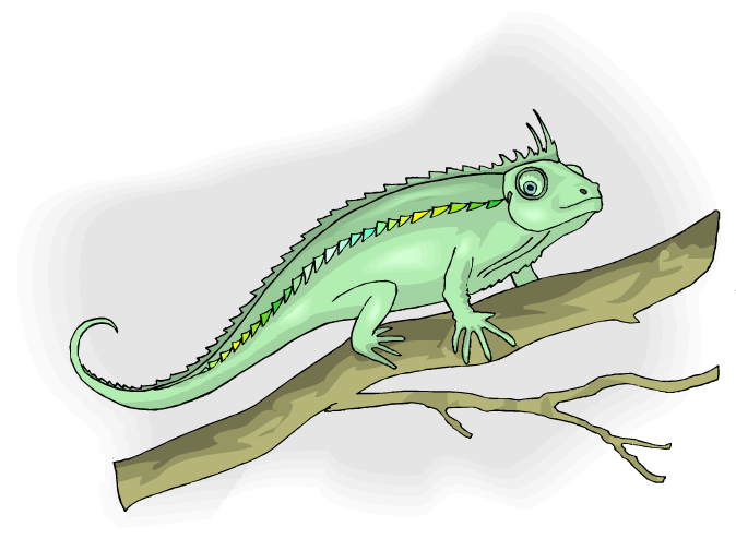 Chameleon - Cartoon Clipart (750x494), Png Download