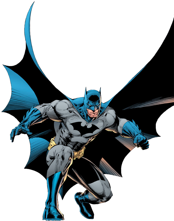 Batman Training, Nightwing, Batgirl, Catwoman, Ben - Dc Batman Full Frontal Clipart (603x764), Png Download