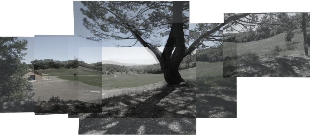 Hockney Of Paso Clipart (1000x455), Png Download