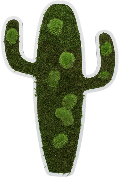 Cactus Pictogram 60 Cm - Chlorophyta Clipart (490x727), Png Download