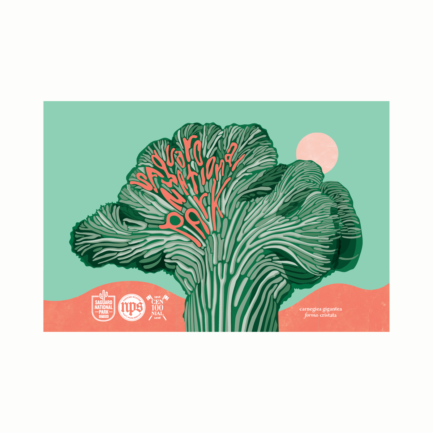 Saguaro National Park Clipart (1400x1400), Png Download