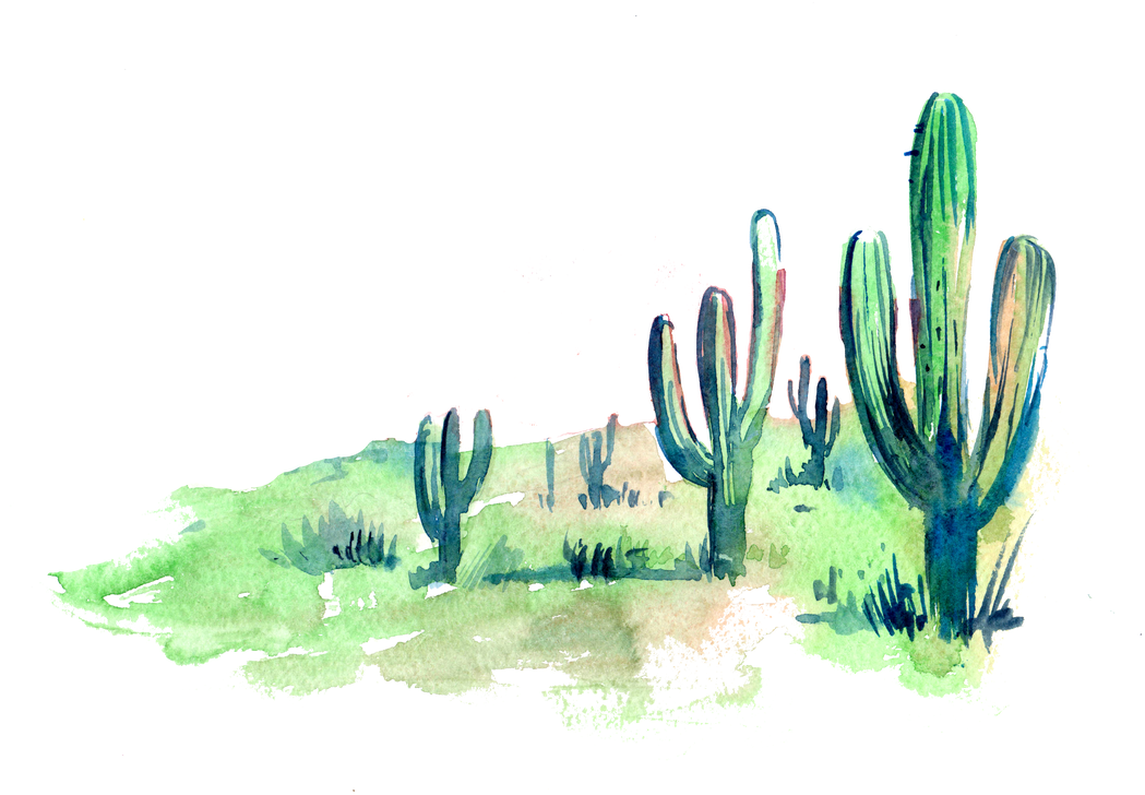 Picture - Watercolor Cactus Scenery Clipart (1100x746), Png Download