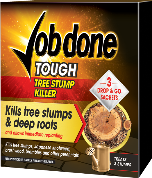 Next - Food Clipart (600x756), Png Download