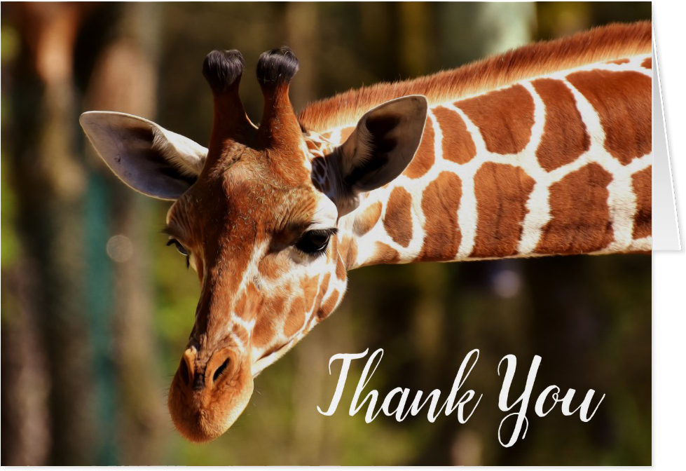 Vintage - Endangered Animals In Dublin Zoo Clipart (1106x1106), Png Download
