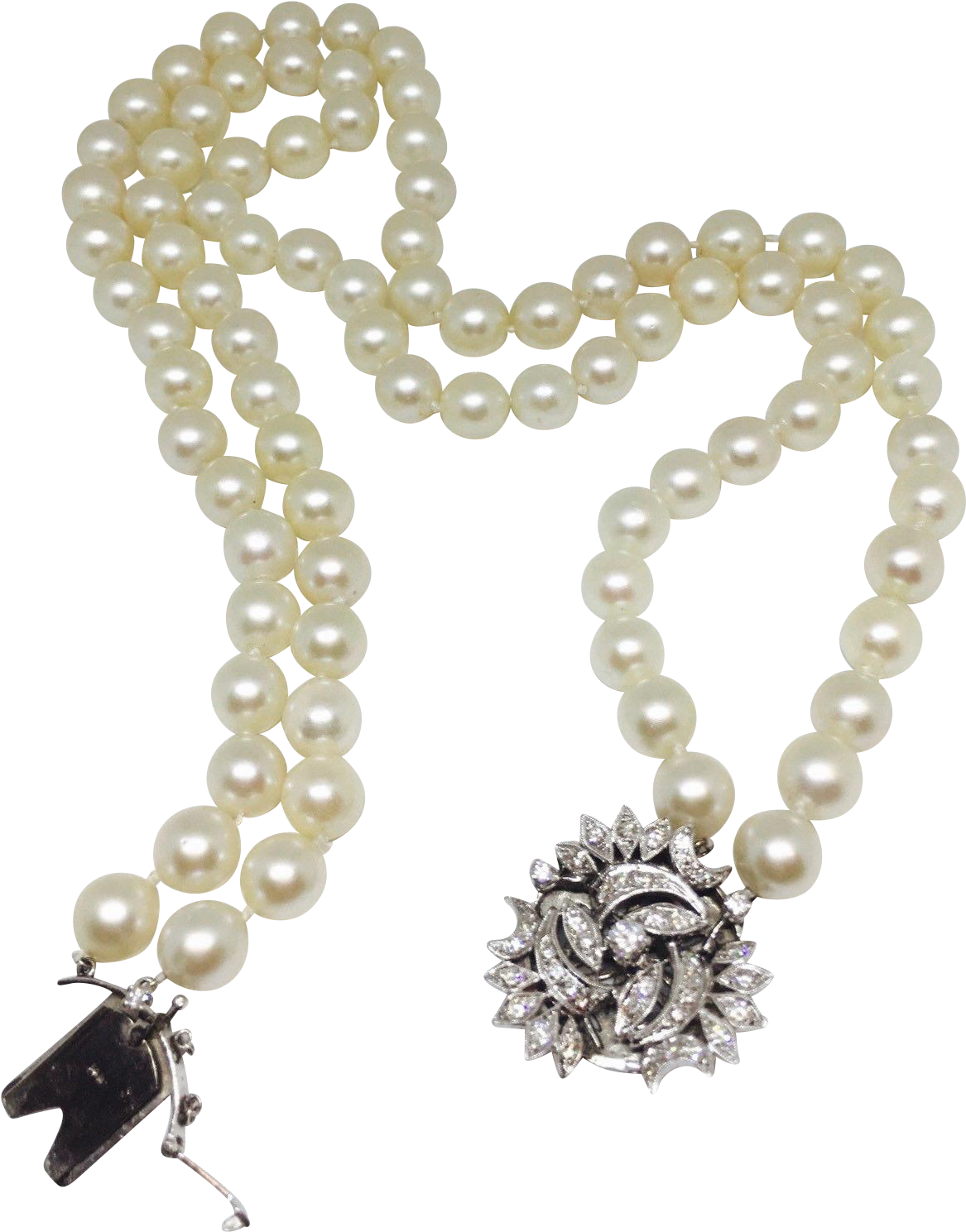Stunning 1950s - Pearl Clipart (1488x1488), Png Download