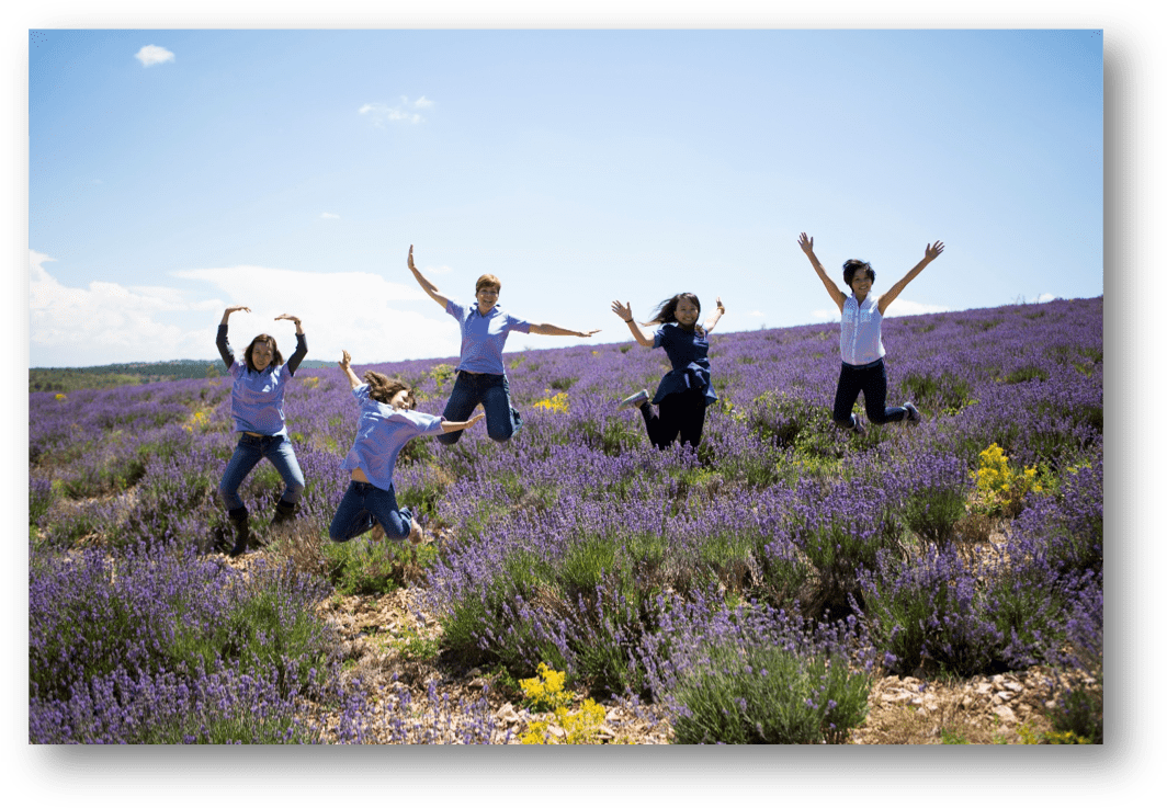 Young Living- Essential Oils 101 Basics - Fun Clipart (1077x750), Png Download