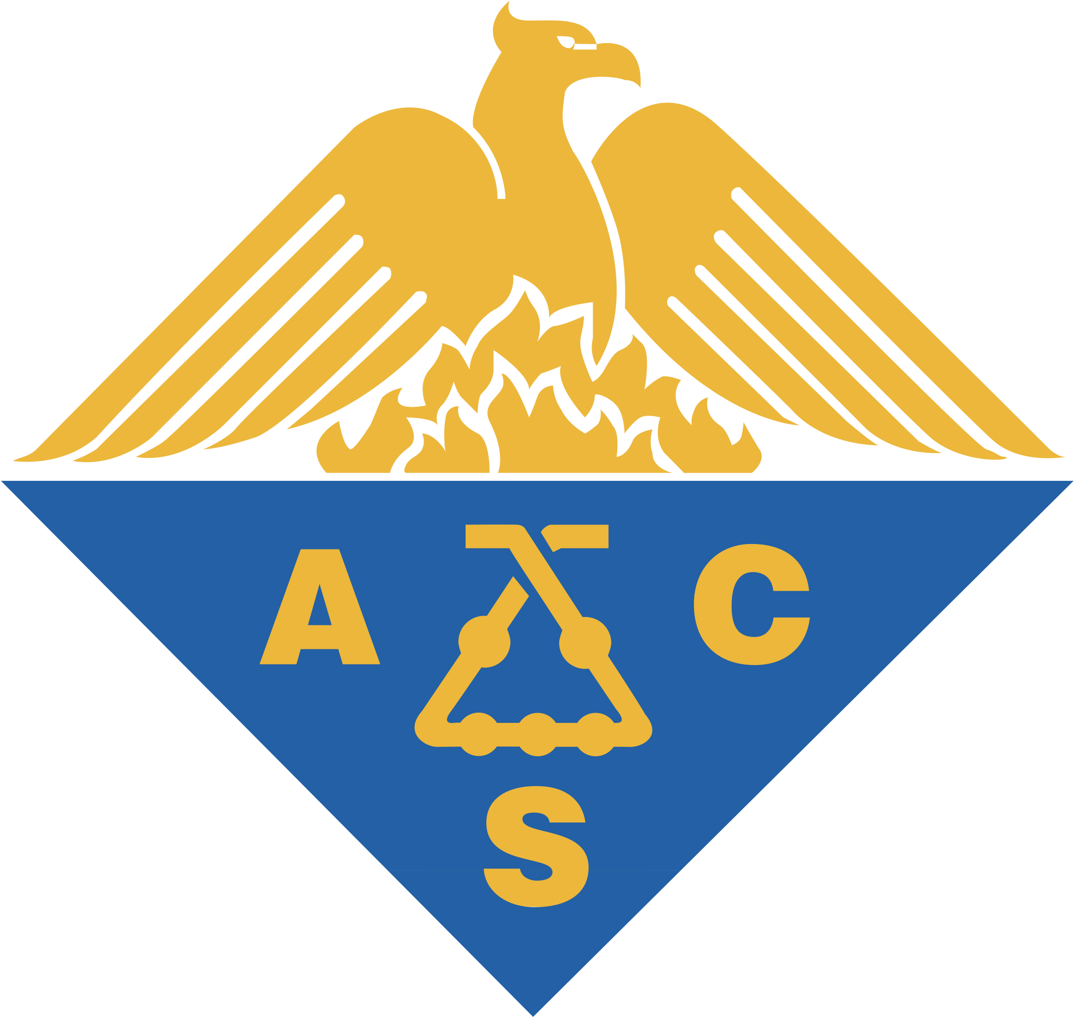 Acs Logo Png Transparent - American Chemical Society Clipart (2400x2400), Png Download